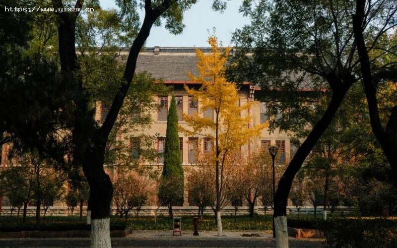 山东大学2