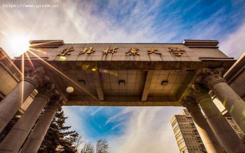 东北林业大学1