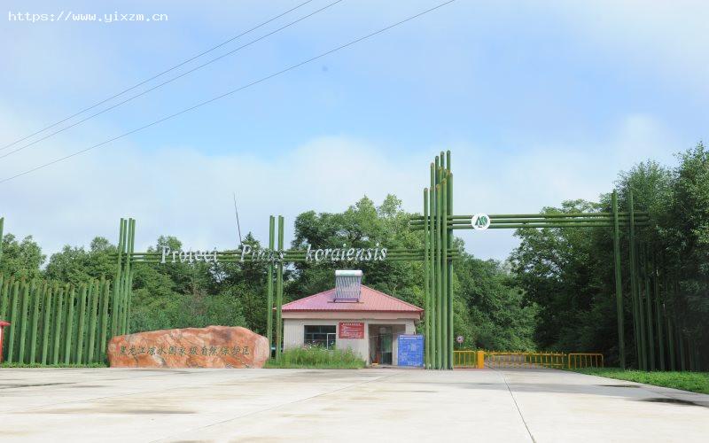 东北林业大学3