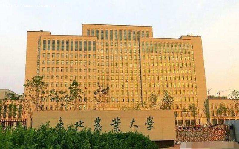 东北农业大学1