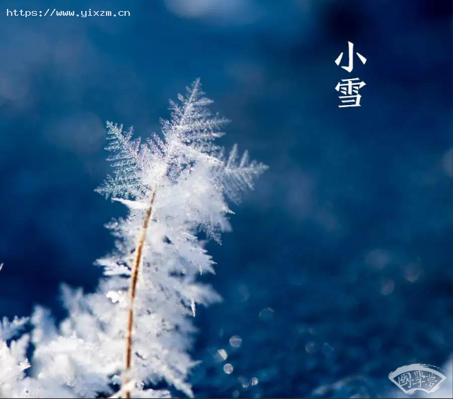 
吃橘子非要捻白丝吗
2022-12-01 14:39:14
13
语录:小雪——莫怪虹无影,如今小雪时
    在冬风的催促下,寒气渐渐逼近,小雪节气迈着轻快的步伐,又不紧不慢地走来了。小雪是初冬第二个节气,秋色渐渐褪尽,冬天,在翻山越岭地奔赴岁末的舞台。
![图片